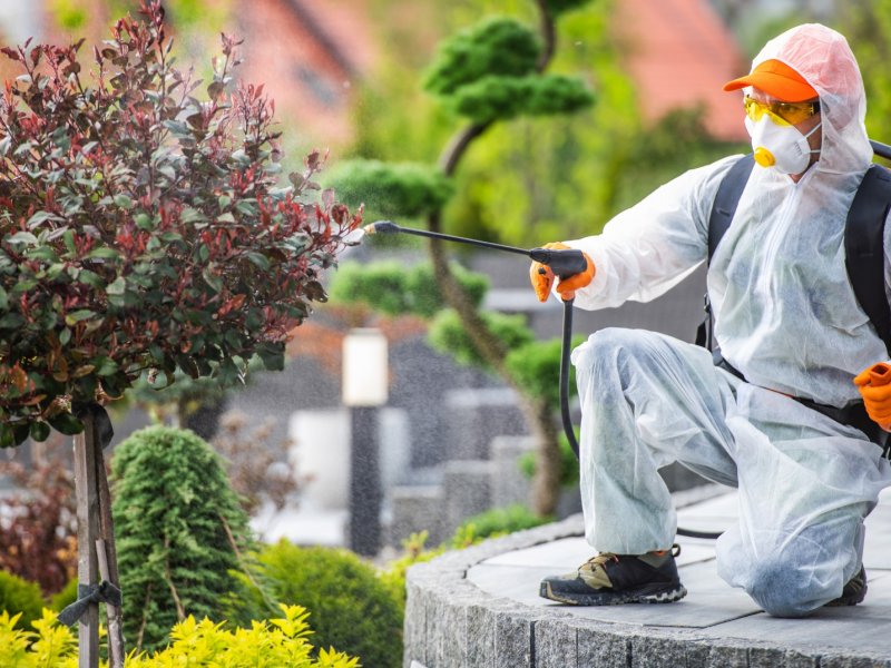 Gölbaşı Haşere İlaçlama